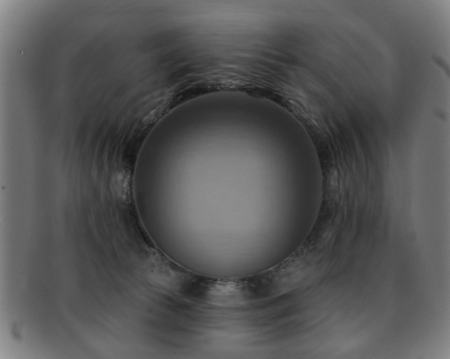 X0000092110177200709121625