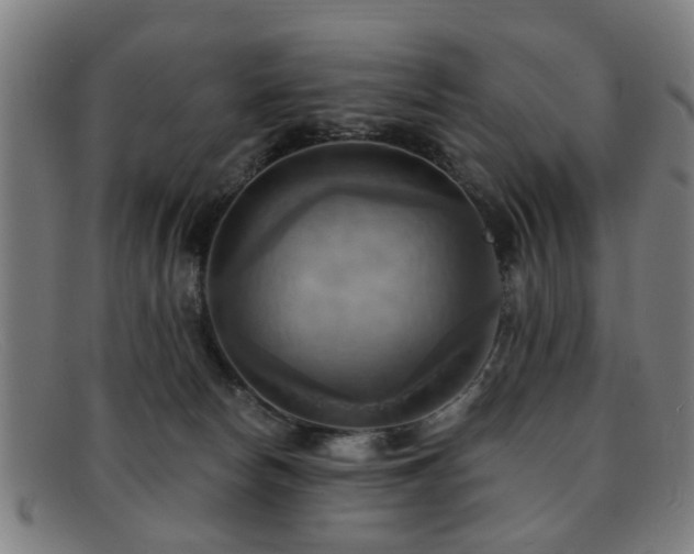 X0000092110178200709121625