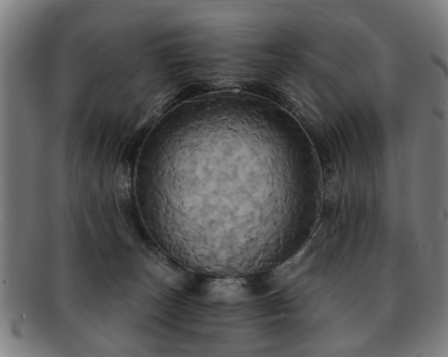 X0000092110179200709121625