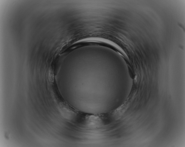 X0000092110180200709121625