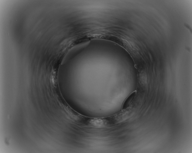 X0000092110181200709121625