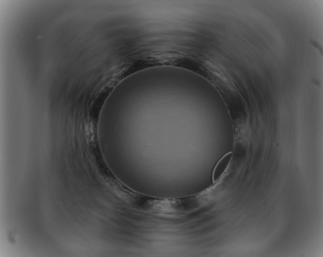 X0000092110182200709121625