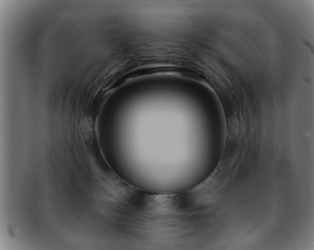 X0000092110184200709121625