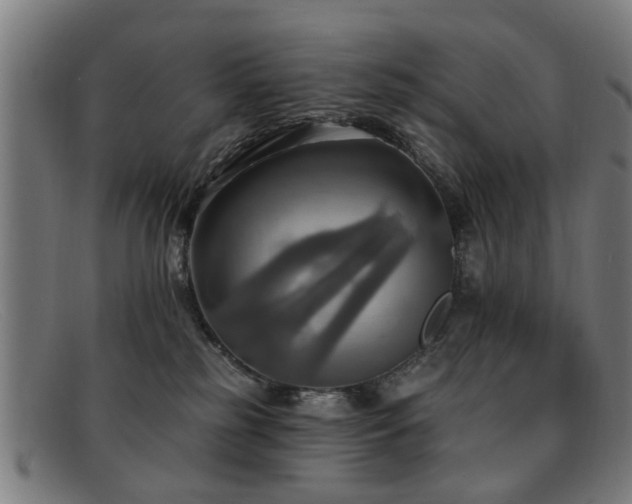 X0000092110185200709121625