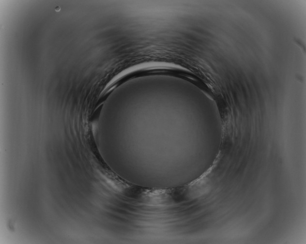 X0000092110186200709121625