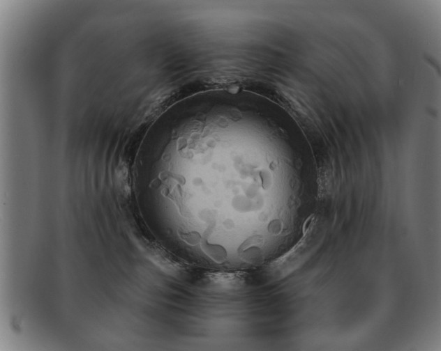 X0000092110187200709121625