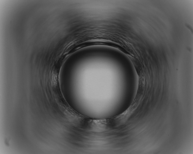 X0000092110188200709121625