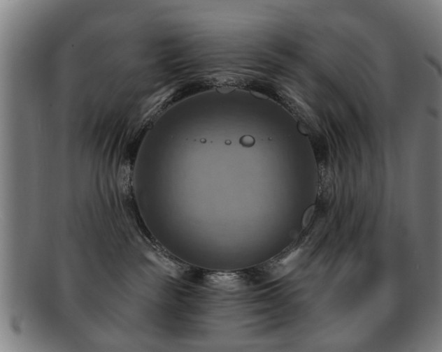 X0000092110189200709121625