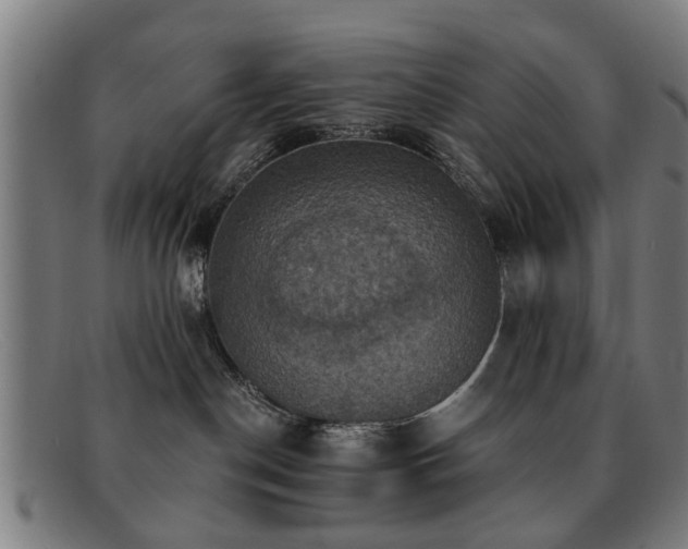 X0000092110190200709121625