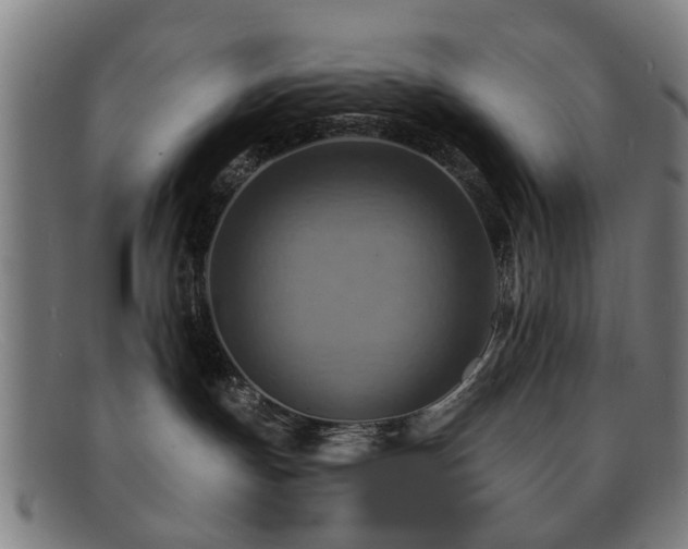 X0000092110191200709121625