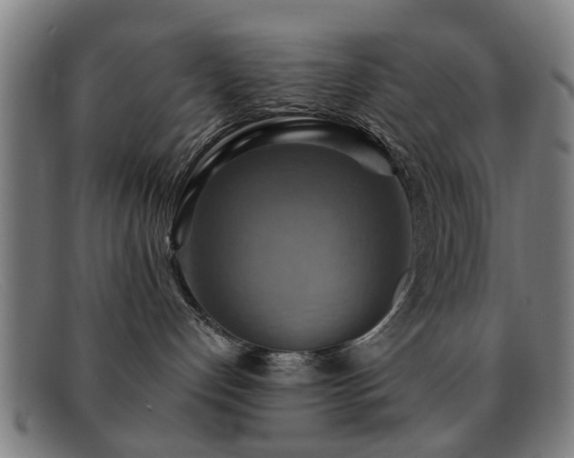 X0000092110192200709121625