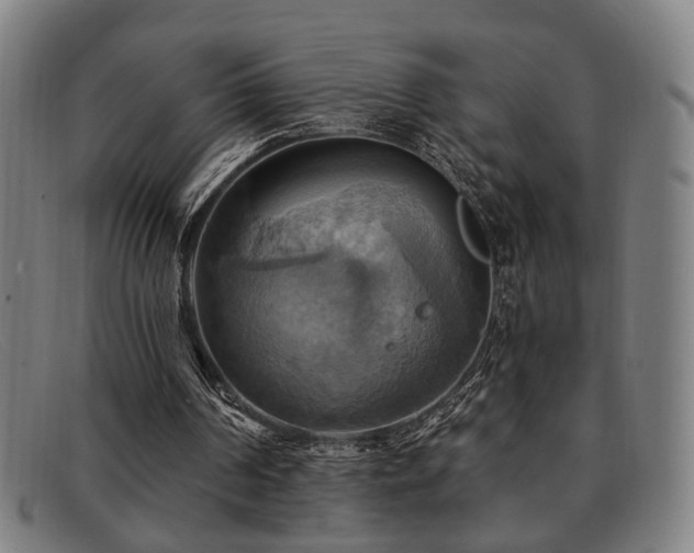 X0000092110194200709121624