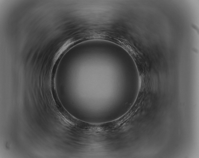 X0000092110195200709121624