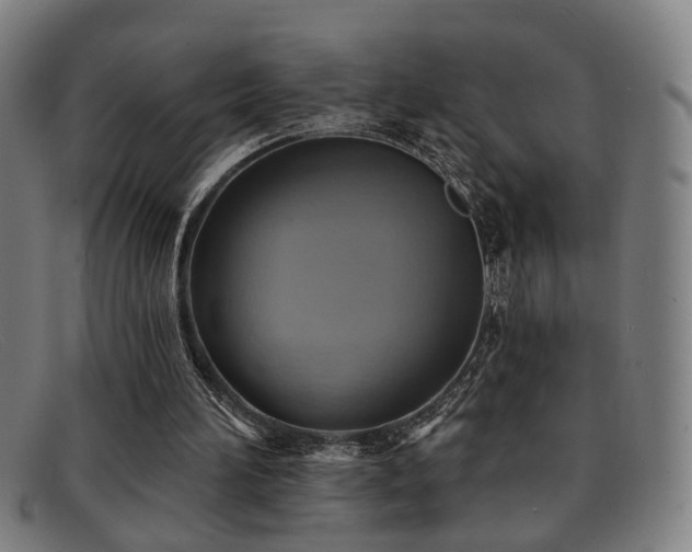 X0000092110196200709121624