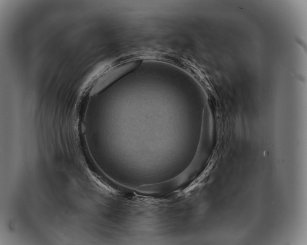 X0000092110197200709121624