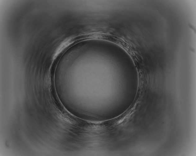 X0000092110198200709121624