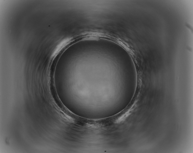 X0000092110199200709121624