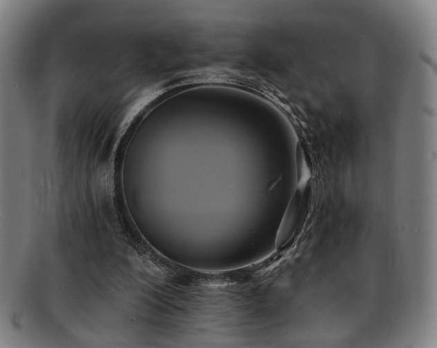 X0000092110200200709121624