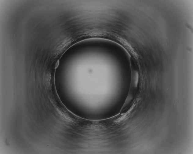 X0000092110201200709121624