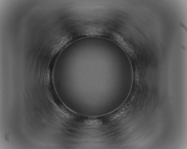 X0000092110202200709121624