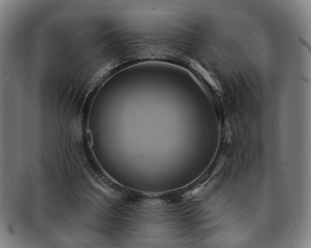 X0000092110203200709121624