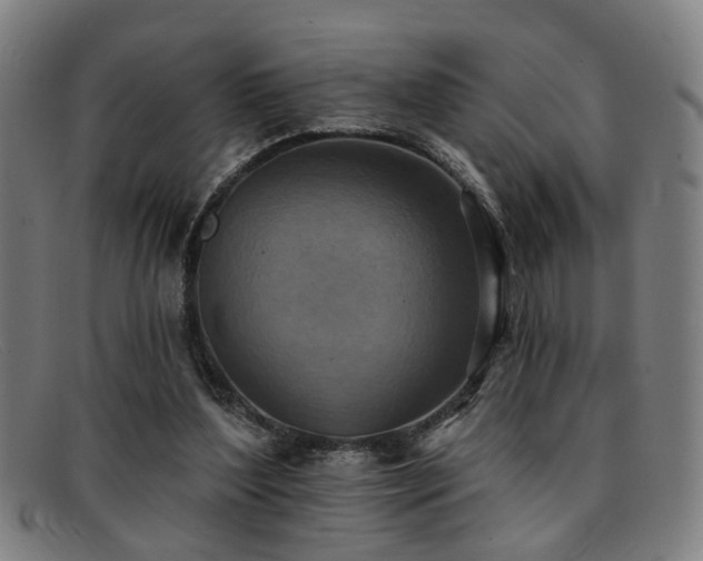 X0000092110204200709121624