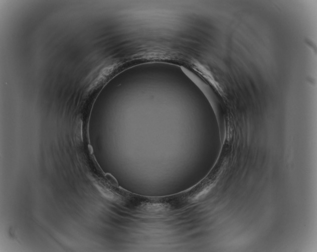 X0000092110205200709121624