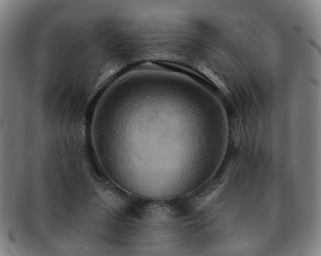 X0000092110207200709121624