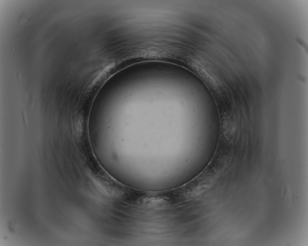 X0000092110208200709121624