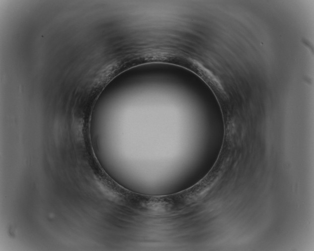 X0000092110209200709121624