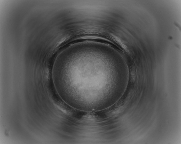 X0000092110211200709121624