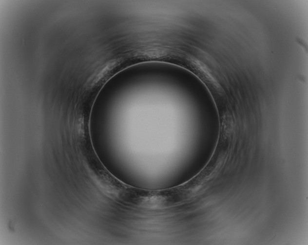 X0000092110212200709121624