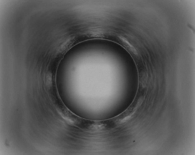 X0000092110213200709121624