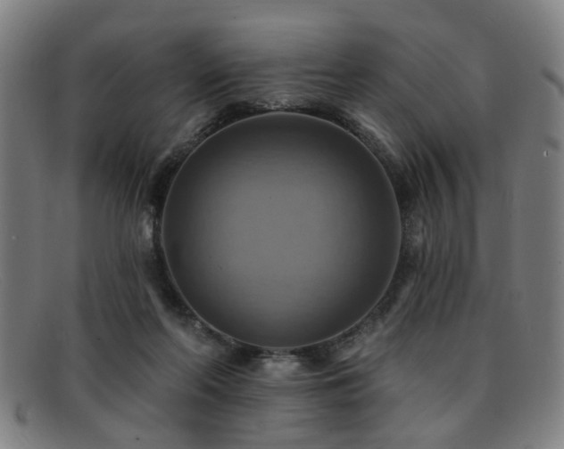 X0000092110214200709121624