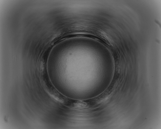 X0000092110215200709121624