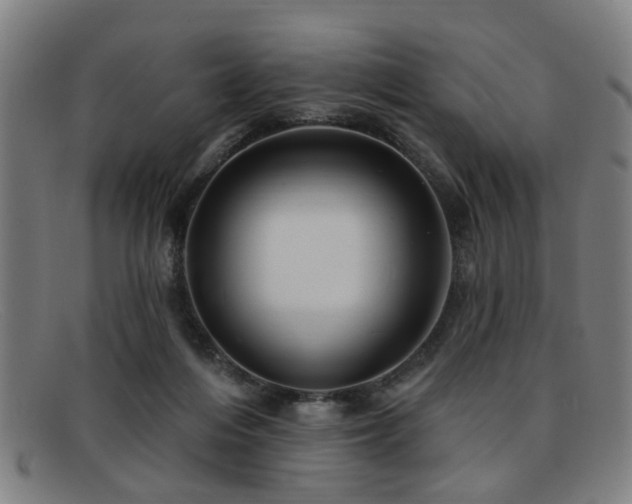 X0000092110216200709121624