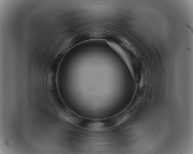 X0000092110217200709121624