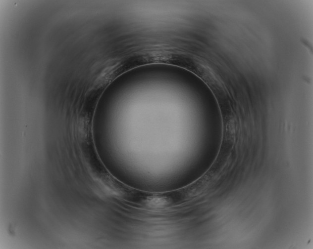 X0000092110218200709121624