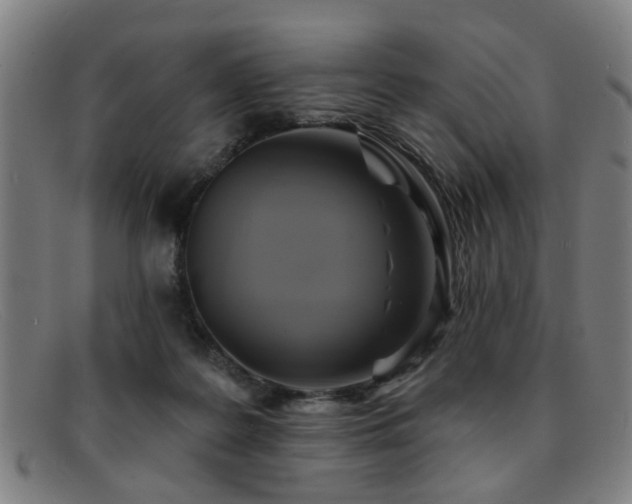 X0000092110219200709121624