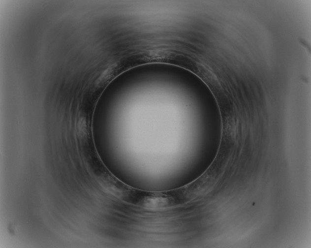 X0000092110220200709121624