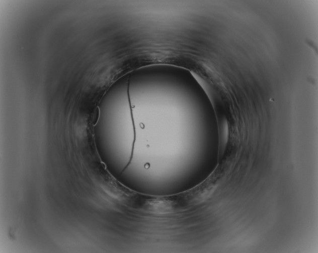 X0000092110221200709121624