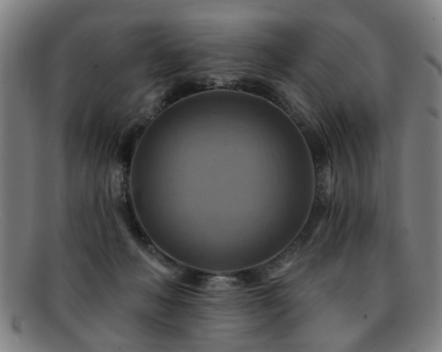 X0000092110222200709121624