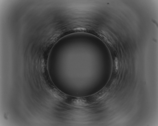 X0000092110223200709121624