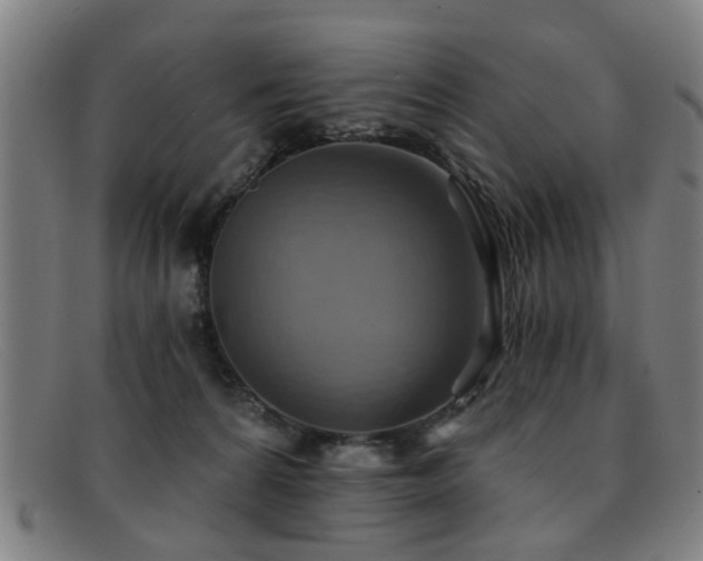 X0000092110224200709121624