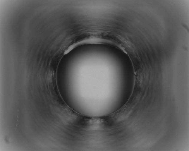 X0000092110225200709121624