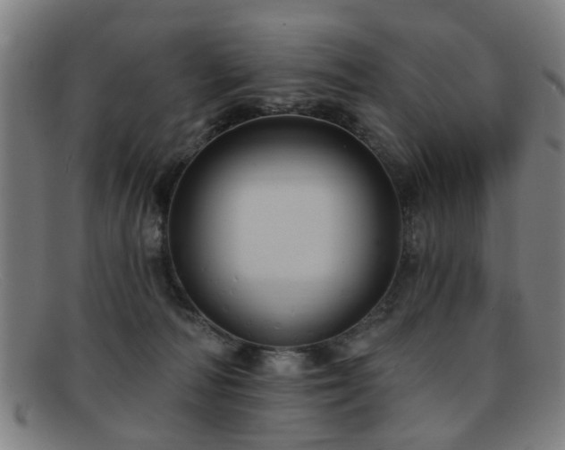 X0000092110226200709121624