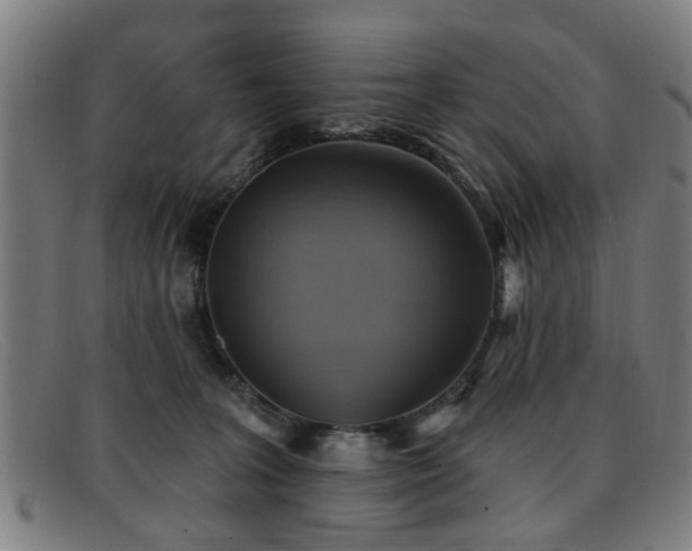 X0000092110227200709121624