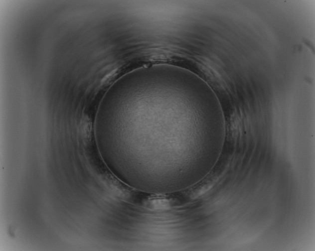 X0000092110228200709121624