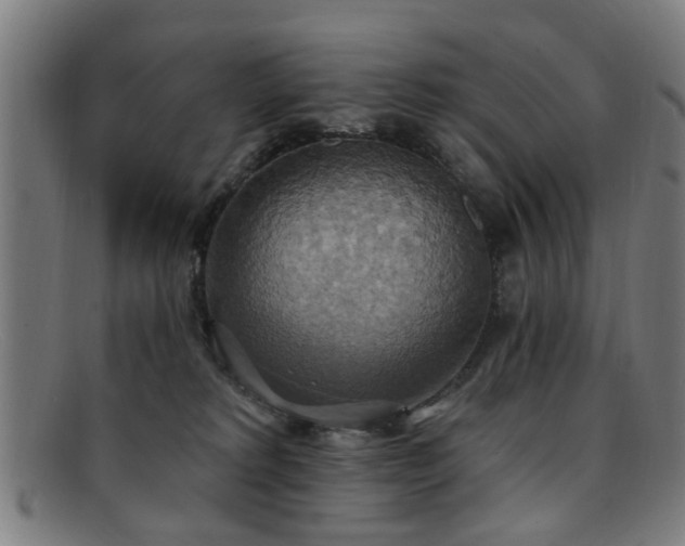 X0000092110229200709121624