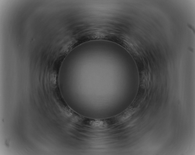 X0000092110230200709121624